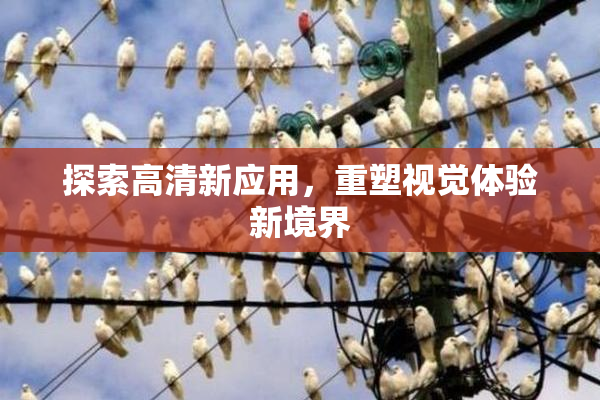 探索高清新应用，重塑视觉体验新境界