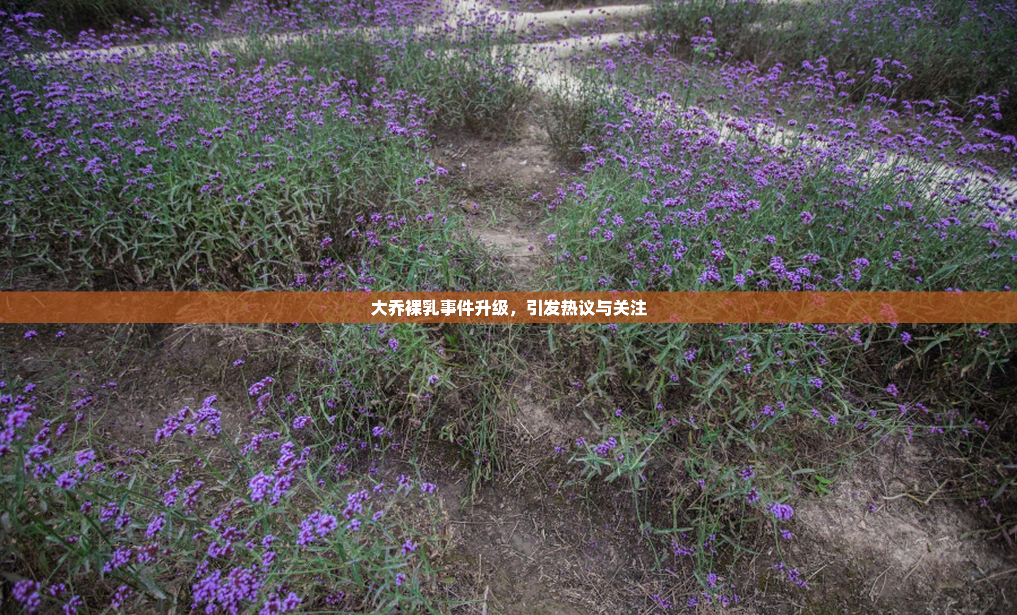 大乔裸乳事件升级，引发热议与关注