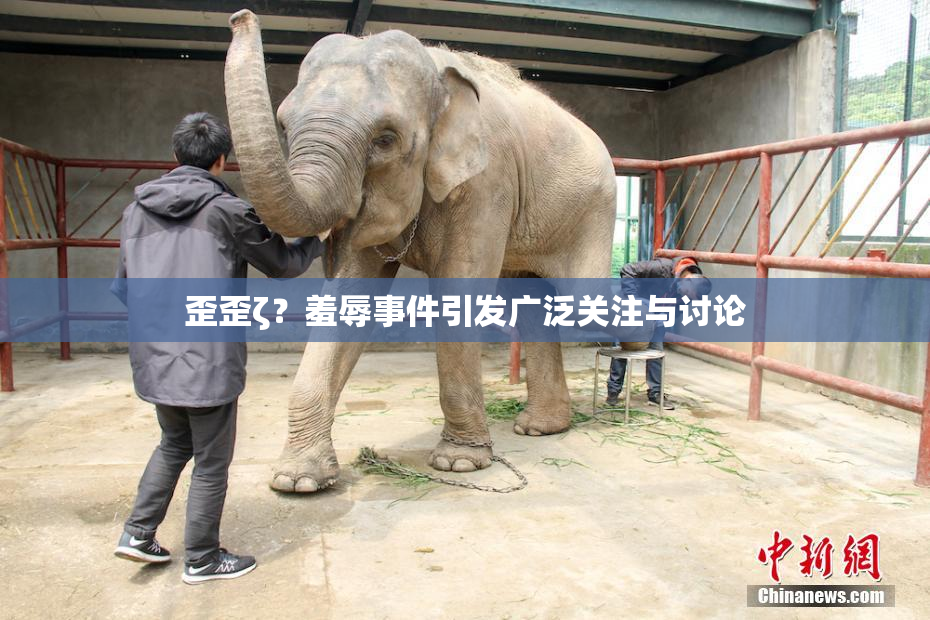 歪歪ζ？羞辱事件引发广泛关注与讨论