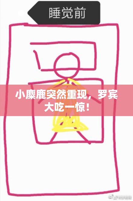 小麋鹿突然重现，罗宾大吃一惊！