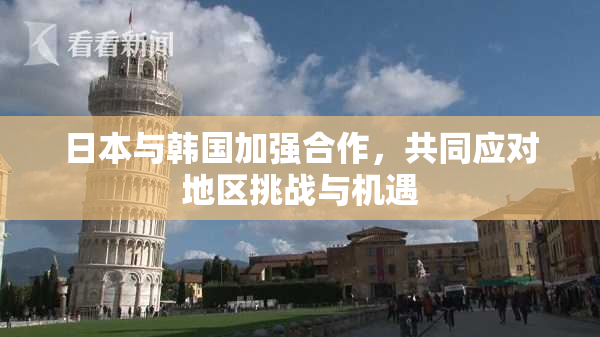 日本与韩国加强合作，共同应对地区挑战与机遇