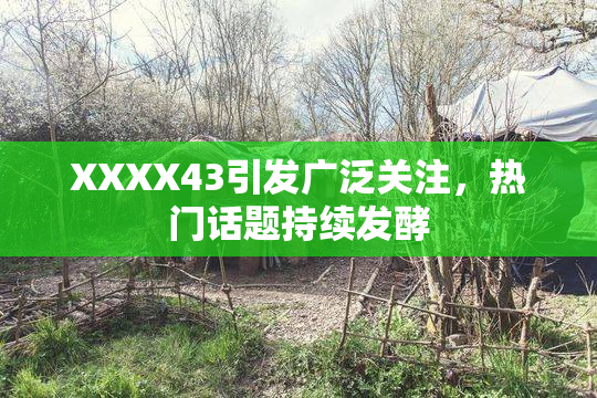 XXXX43引发广泛关注，热门话题持续发酵