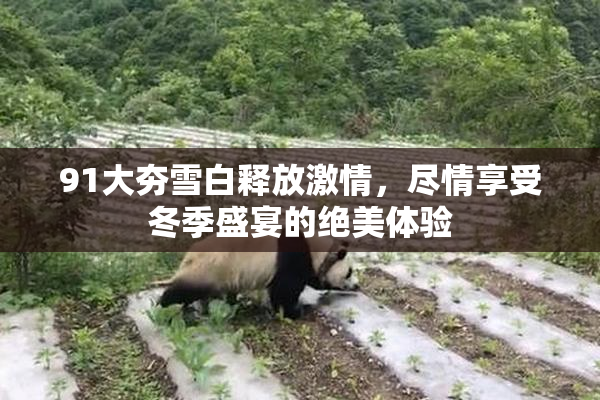 91大夯雪白释放激情，尽情享受冬季盛宴的绝美体验