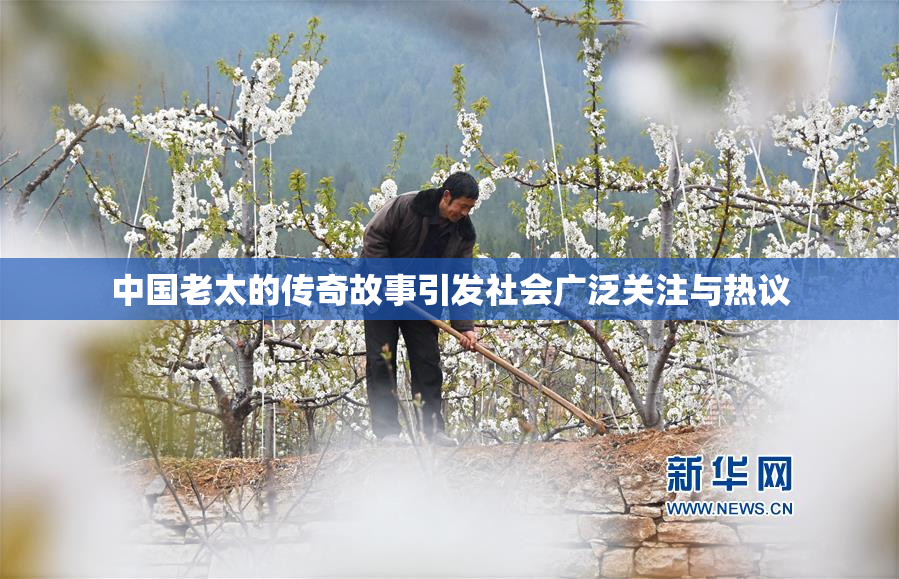 中国老太的传奇故事引发社会广泛关注与热议