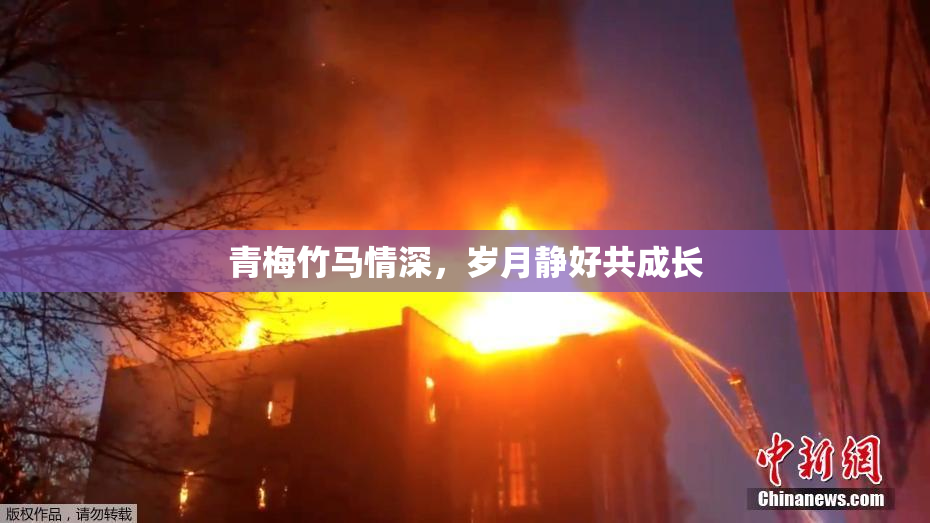 青梅竹马情深，岁月静好共成长