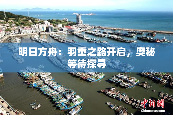 明日方舟：羽重之路开启，奥秘等待探寻
