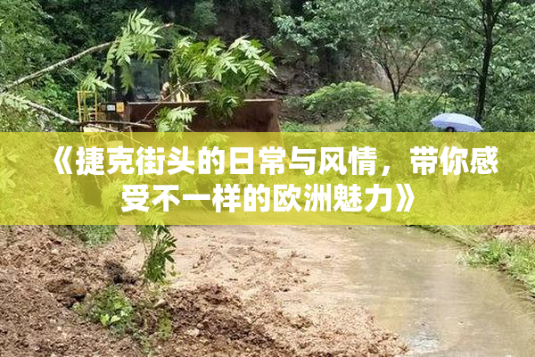 《捷克街头的日常与风情，带你感受不一样的欧洲魅力》