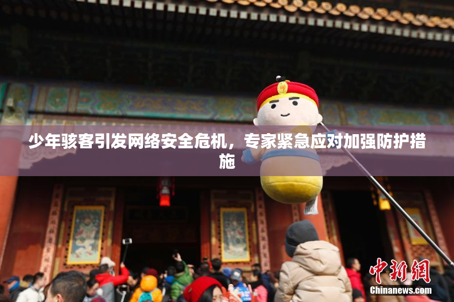 少年骇客引发网络安全危机，专家紧急应对加强防护措施