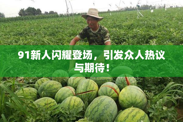 91新人闪耀登场，引发众人热议与期待！