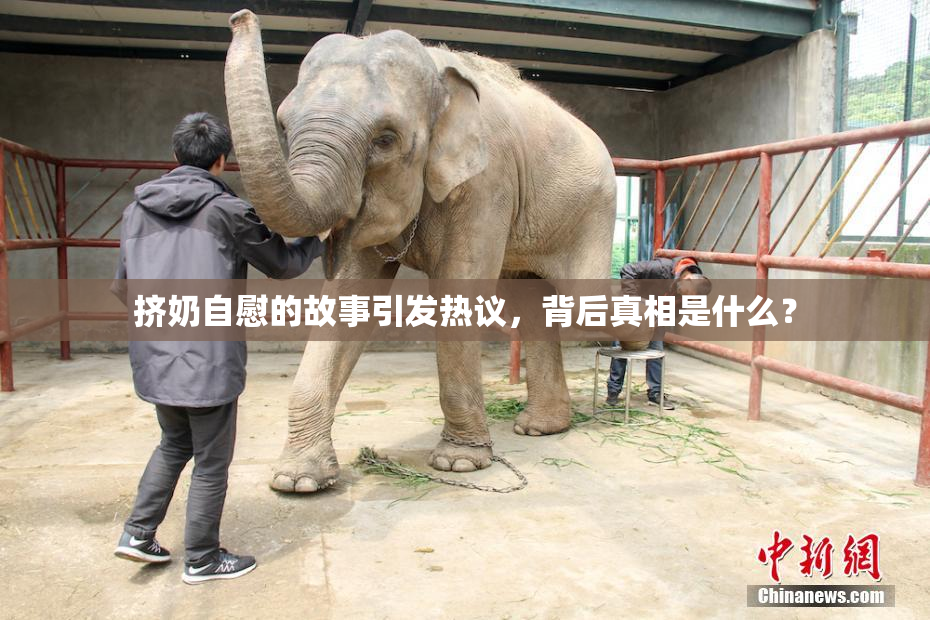 挤奶自慰的故事引发热议，背后真相是什么？