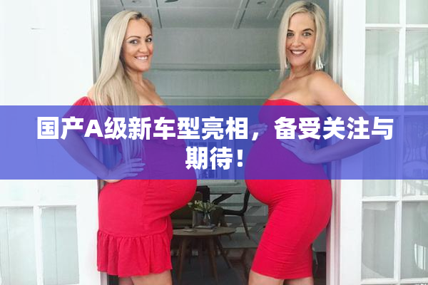 国产A级新车型亮相，备受关注与期待！