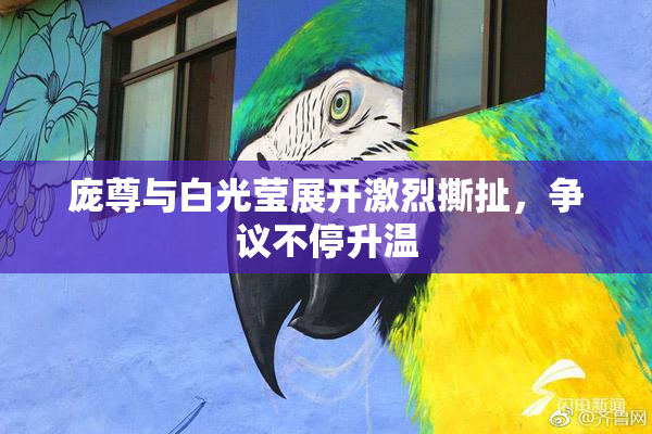 庞尊与白光莹展开激烈撕扯，争议不停升温