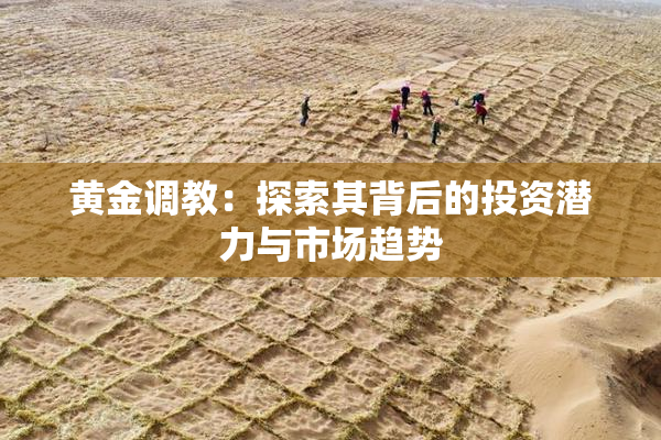 黄金调教：探索其背后的投资潜力与市场趋势