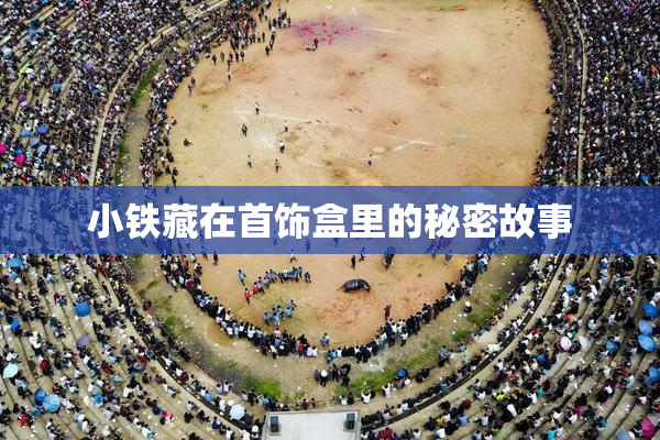 小铁藏在首饰盒里的秘密故事