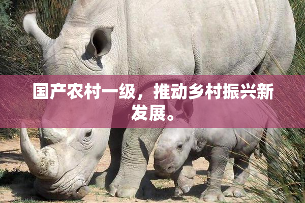 国产农村一级，推动乡村振兴新发展。