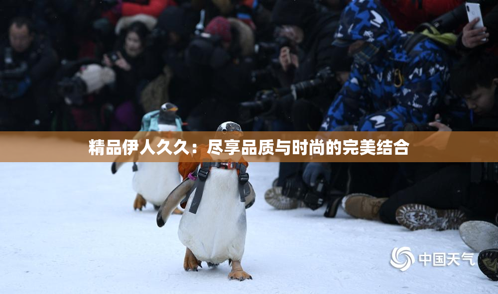 精品伊人久久：尽享品质与时尚的完美结合
