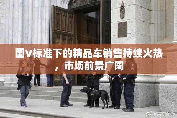 国V标准下的精品车销售持续火热，市场前景广阔