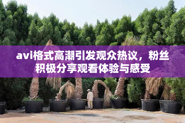 avi格式高潮引发观众热议，粉丝积极分享观看体验与感受