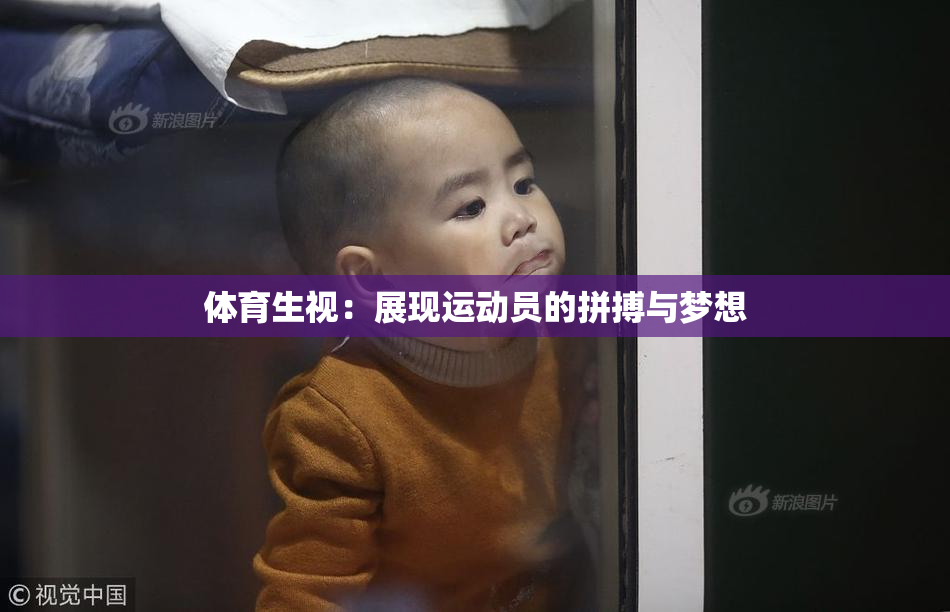 体育生视：展现运动员的拼搏与梦想
