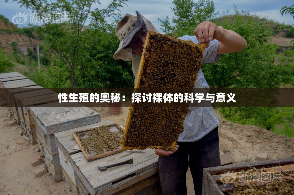 性生殖的奥秘：探讨裸体的科学与意义