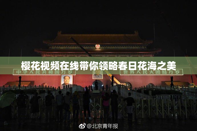 樱花视频在线带你领略春日花海之美