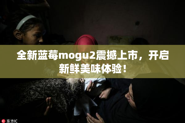 全新蓝莓mogu2震撼上市，开启新鲜美味体验！