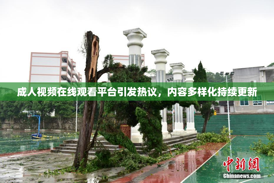 成人视频在线观看平台引发热议，内容多样化持续更新