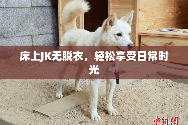 床上JK无脱衣，轻松享受日常时光