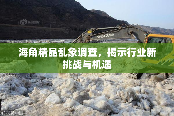 海角精品乱象调查，揭示行业新挑战与机遇