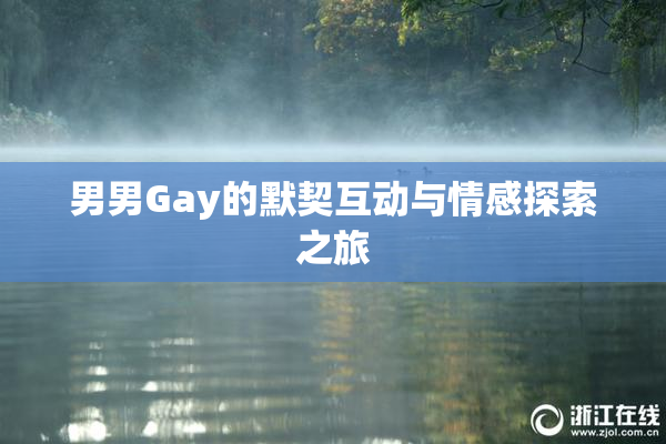 男男Gay的默契互动与情感探索之旅