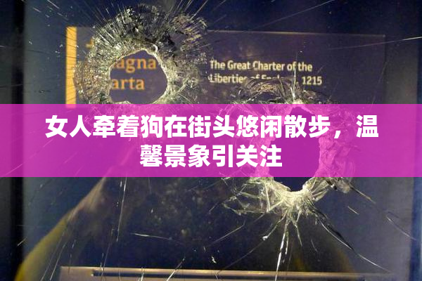 女人牵着狗在街头悠闲散步，温馨景象引关注