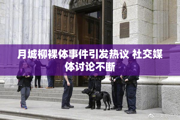 月城柳裸体事件引发热议 社交媒体讨论不断