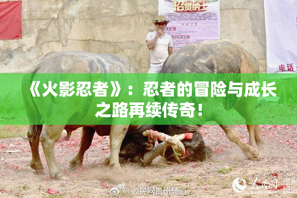 《火影忍者》：忍者的冒险与成长之路再续传奇！