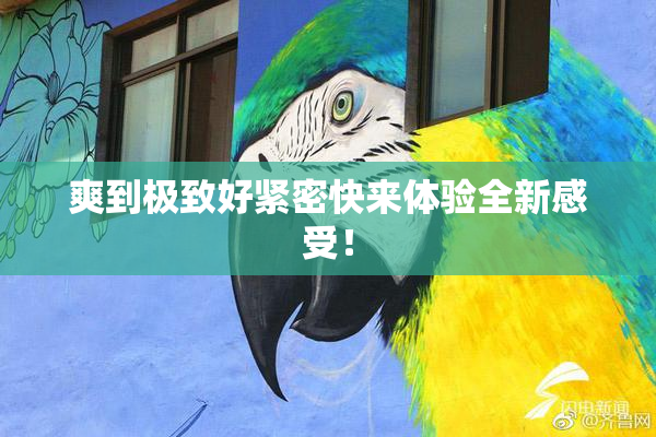 爽到极致好紧密快来体验全新感受！
