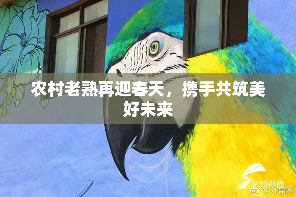 农村老熟再迎春天，携手共筑美好未来