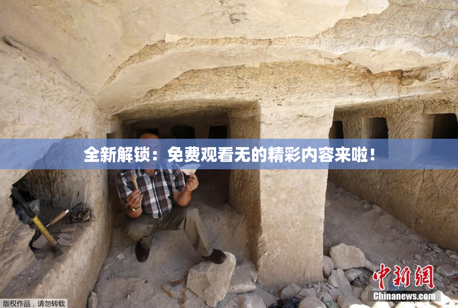 全新解锁：免费观看无的精彩内容来啦！