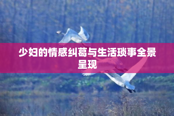少妇的情感纠葛与生活琐事全景呈现
