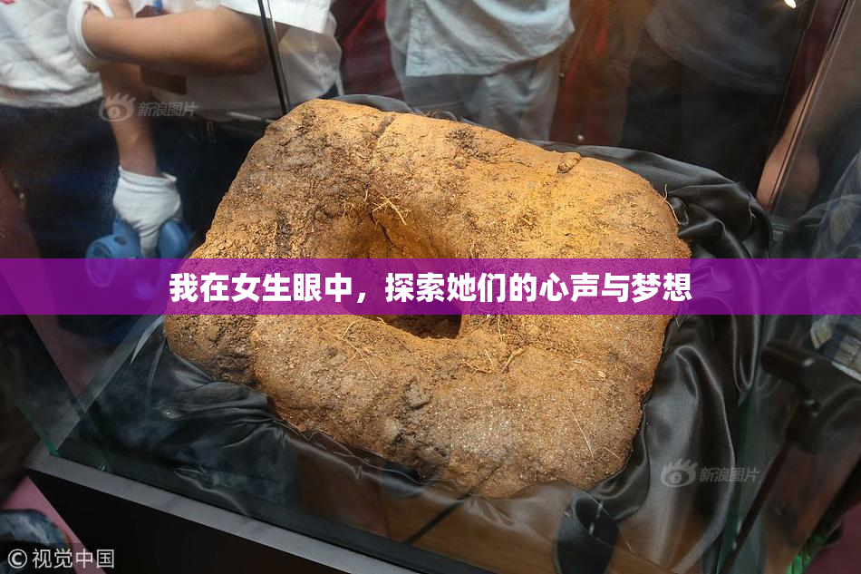 我在女生眼中，探索她们的心声与梦想