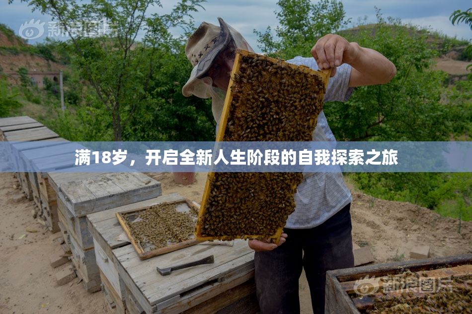 满18岁，开启全新人生阶段的自我探索之旅