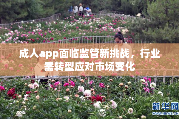 成人app面临监管新挑战，行业需转型应对市场变化