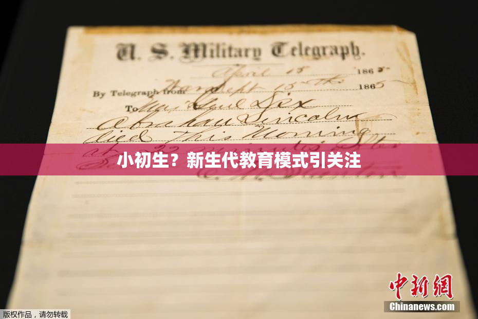 小初生？新生代教育模式引关注
