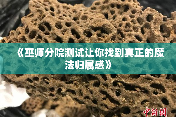 《巫师分院测试让你找到真正的魔法归属感》