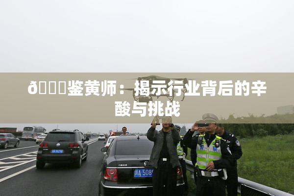 🔞鉴黄师：揭示行业背后的辛酸与挑战