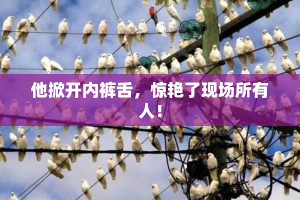 他掀开内裤舌，惊艳了现场所有人！