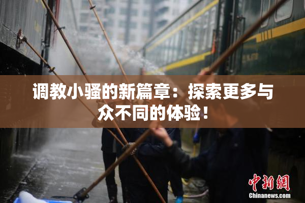 调教小骚的新篇章：探索更多与众不同的体验！