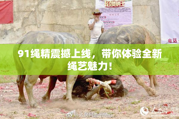 91绳精震撼上线，带你体验全新绳艺魅力！