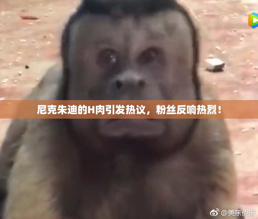 尼克朱迪的H肉引发热议，粉丝反响热烈！