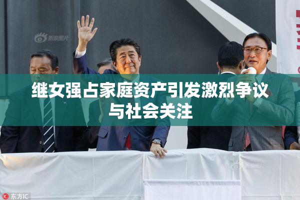 继女强占家庭资产引发激烈争议与社会关注