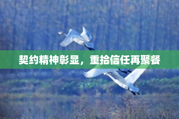 契约精神彰显，重拾信任再聚餐