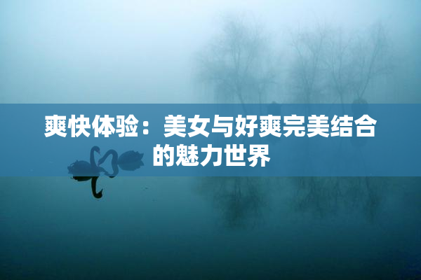 爽快体验：美女与好爽完美结合的魅力世界
